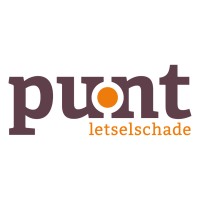 PUNT Letselschade Advocatuur logo - Similar company to Alumess Group