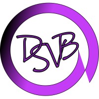 DSVB logo - Similar company to Lock Control Bv