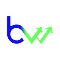 BookWise logo - Similar company to Bookwise Virtual Bookkeeping Services