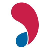Pleiadi International logo - Similar company to Studio Pleiadi