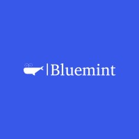 BLUEMINT SERVICES logo - Similar company to Madguy Labs
