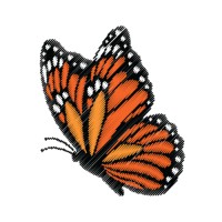 Shsu Latinos Unidos