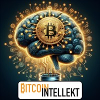 BitcoinIntellekt logo - Similar company to Plebstyle Gmbh