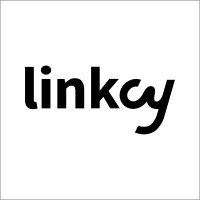 LinkCy logo - Similar company to Flysim