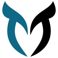 Minerva Cyber Technologies logo - Similar company to Association Of U.S. Cyber Forces (Auscf)