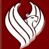 Phoenix Control Systems Ltd. logo - Similar company to Denca Controls Ltd