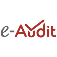 e-Audit logo - Similar company to S2C Interactive