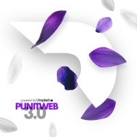 PunitWeb Design Studio logo - Similar company to Designwings Ux/Ui School