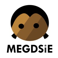 Megdsie Llc