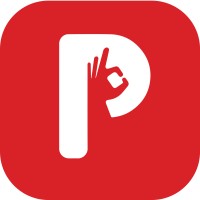 Puno logo - Similar company to Future Vision Co.