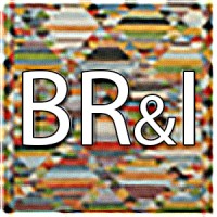 Bellevue Rug & Interiors logo - Similar company to Jps Rugs