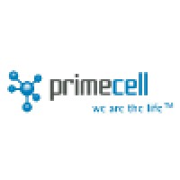 PrimeCell Advanced Therapy, a.s. logo - Similar company to Primecell Bioscience, A.S.
