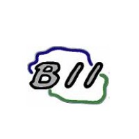 BOURBON INGENIERIE INFRASTRUCTURES logo - Similar company to Link Btp