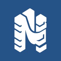 Next1 Services logo - Similar company to Nextone