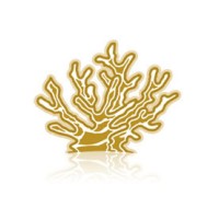 Reefside company Pvt Ltd logo - Similar company to Sonee Sports