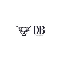 DB SMART MONEY CAPITAL logo - Similar company to Db Capital