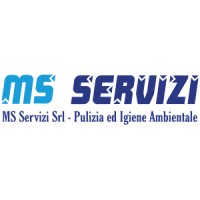 MS Servizi logo - Similar company to Astra Srl