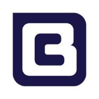 Bluecap Partners Llc