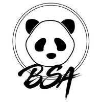 BSA International logo - Similar company to Hothack