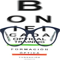 Optical Training logo - Similar company to Reveyes &  Conquer