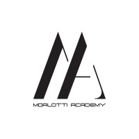 Morlotti Academy logo - Similar company to Seven Two Nine