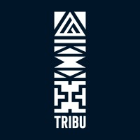 Tribu Sàrl logo - Similar company to Sefty Sàrl