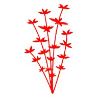 Garuda Drones logo - Similar company to Garuda Droni