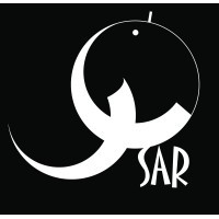 Saar.Design.Develop logo - Similar company to Dmind.Studio