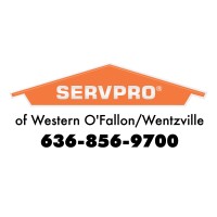 SERVPRO of Western O'Fallon/Wentzville logo - Similar company to Taste Buds Kitchen (O'Fallon)
