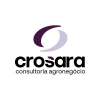Crosara Consultoria logo - Similar company to Multcom Business Builder