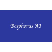 Bosphorus AI logo - Similar company to C2Tech