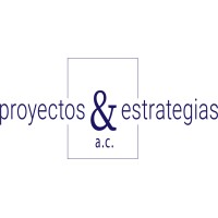 PROYECTOS & ESTRATEGIAS AC logo - Similar company to Netpropi