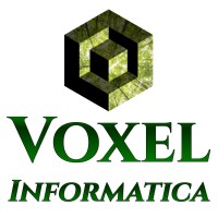Voxel Informatica s.a.s. logo - Similar company to Linear System Srl