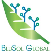 BluSol Global logo - Similar company to Caza Comunicação