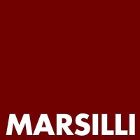 Marsilli India Pvt. Ltd. logo - Similar company to Machineryreporter.Com