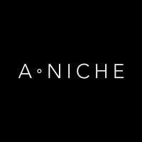 A.NICHE logo - Similar company to Driven