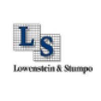 Lowenstein & Stumpo Consulting Structural & Civil Engineers logo - Similar company to Rainbow Engineering - Structural Consulting Engineers