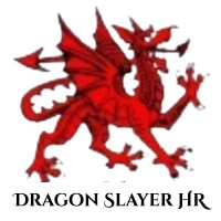 Dragon Slayer HR logo - Similar company to Recruit Agents Ai
