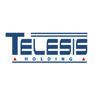 TELESIS HOLDING NV logo - Similar company to Laparkan Air & Ocean Shipping ,International Division