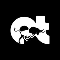 AdsTorro logo - Similar company to Nextbuzz Technologies