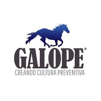 Galope, Productora & Agencia SpA. logo - Similar company to Galope Bravo