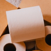 PlantPaper logo - Similar company to Herbert Works