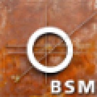 Bsm Informatica