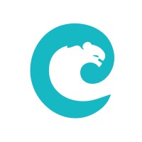 Consult Puma Digital Agency logo - Similar company to Webmagical Solutions