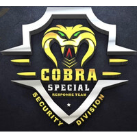 Cobra Special Response Team, Security Division logo - Similar company to Connect Music