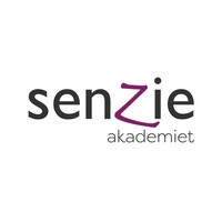 Senzie Akademiet logo - Similar company to Bazeport