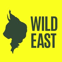WildEast logo - Similar company to Wildeast