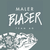 Maler Blaser Team AG logo - Similar company to Ihr Maler Ulm E.K.