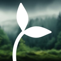 Hindsight Growth logo - Similar company to Aiton Digital
