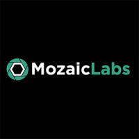 MozaicLabs logo - Similar company to Kidsplusplus